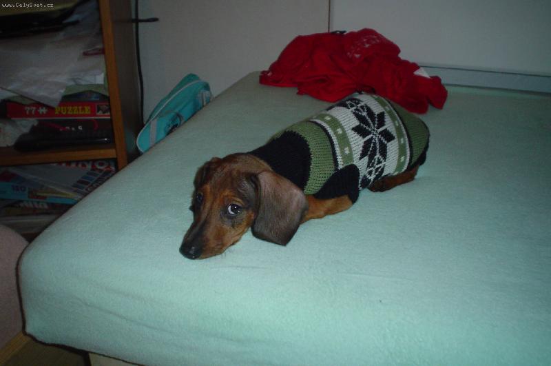 Foto: Robbieček-nejkrásnější