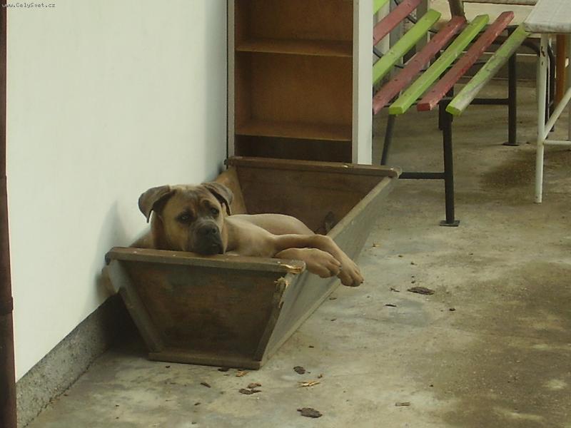 Foto: co mě budíte?