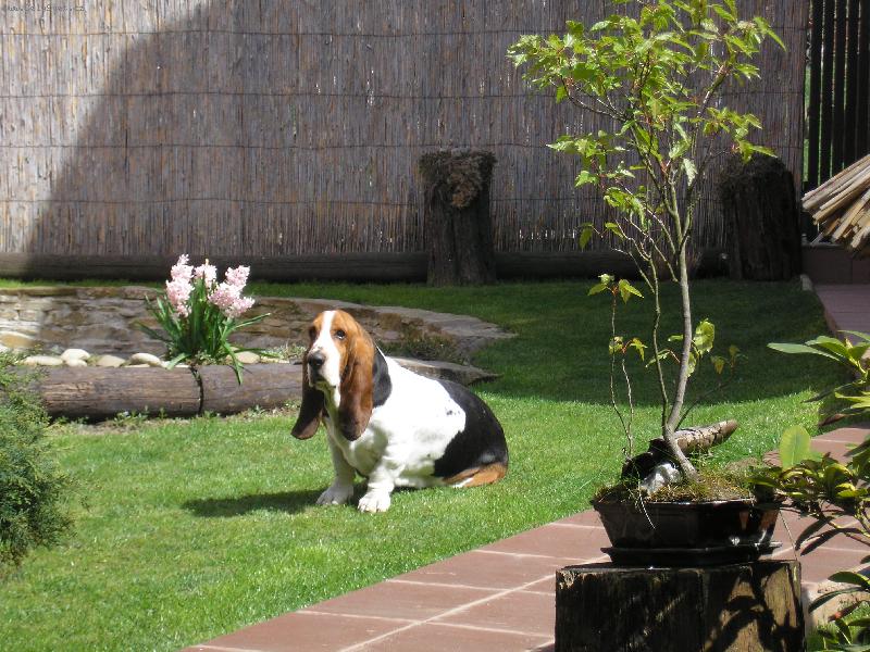 Foto: VÍTÁNÍ JARA