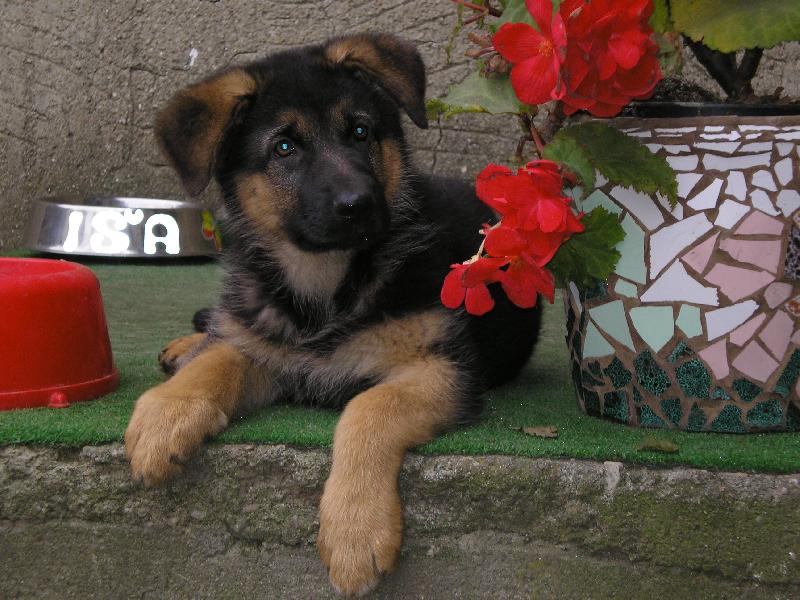 Foto: Ira-milovnice květin