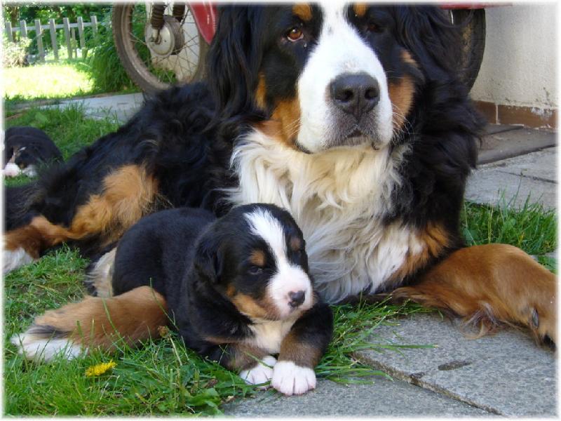 Foto: Amadeus a mamčou