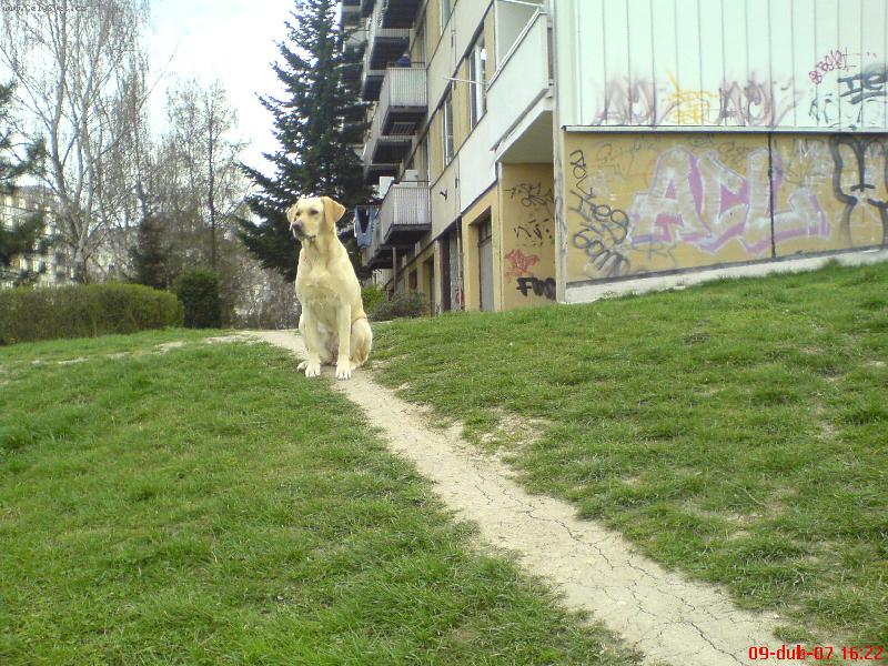 Foto: Vyhlíží-Koukám kde je Bad