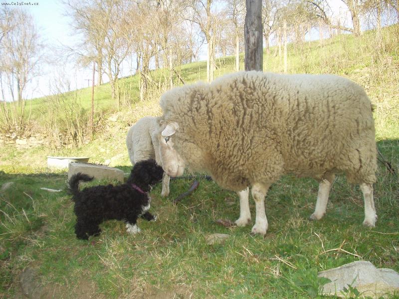 Foto: kamarádi-velikonoce