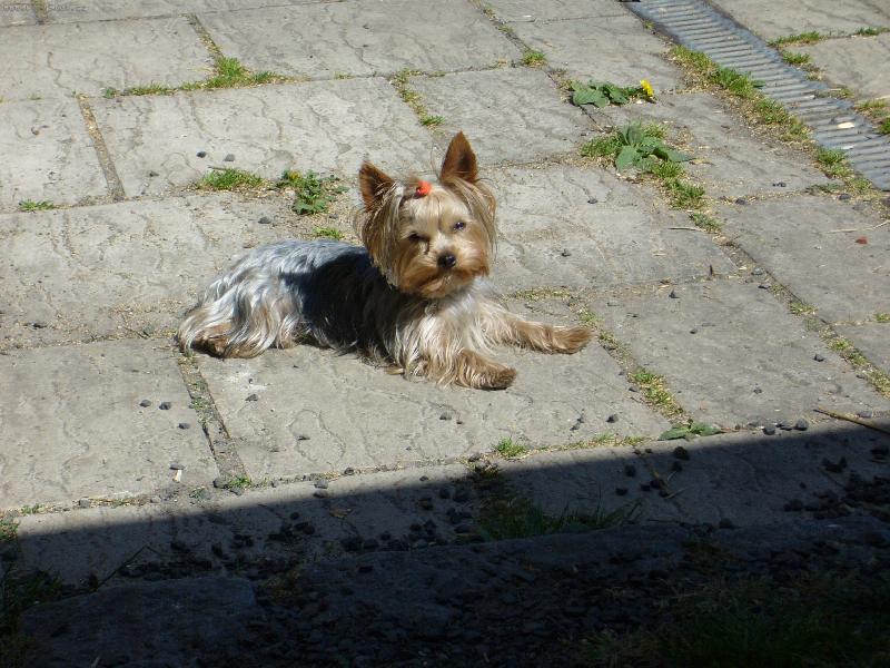 Foto: MIA z Děčína