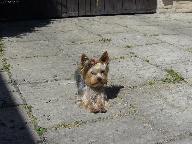 Foto: MIA z Děčína