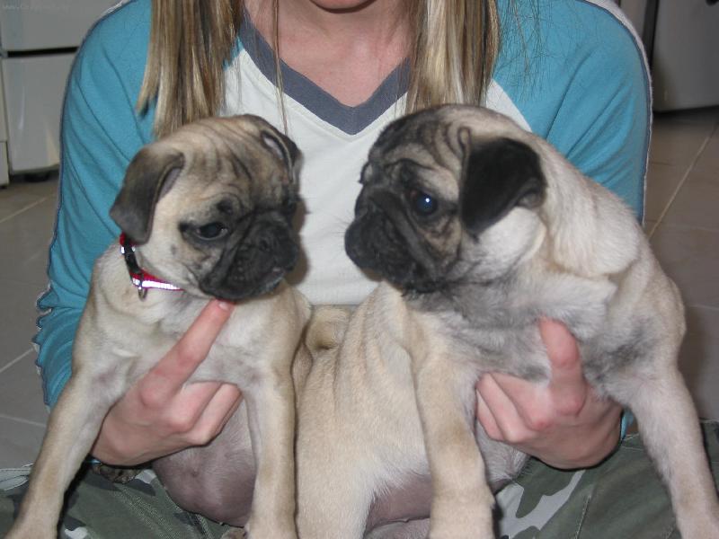 Foto: Anuška a Bobinka