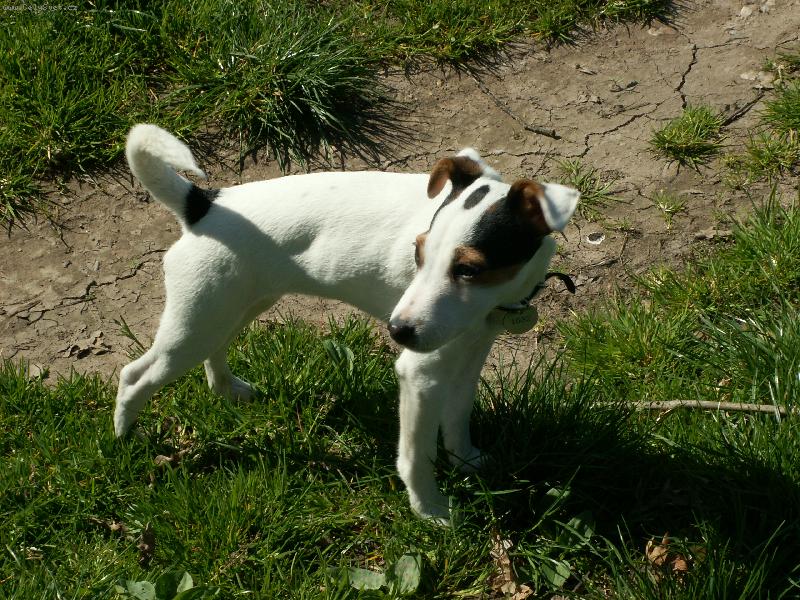 Foto: Agnes-Jen tak si stojím