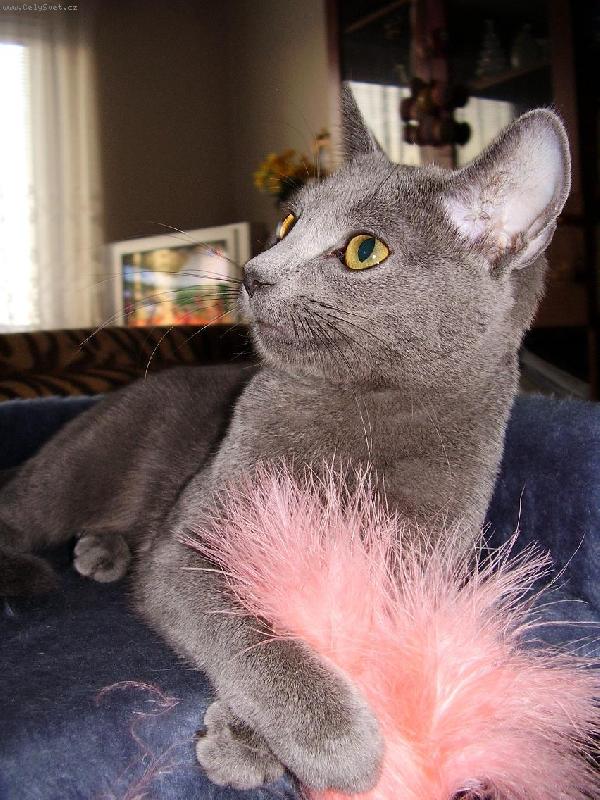 Foto: Naše Filinka-Filinka