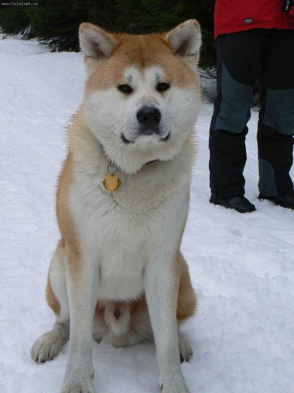 Foto: Agasschi na horách-Vycházková pauza