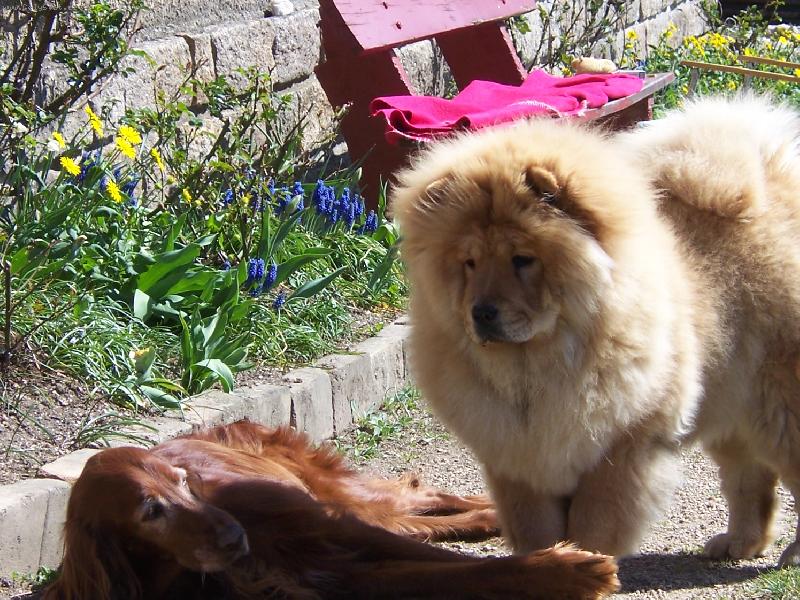 Foto: kamarádky-Amanda a Dorinka