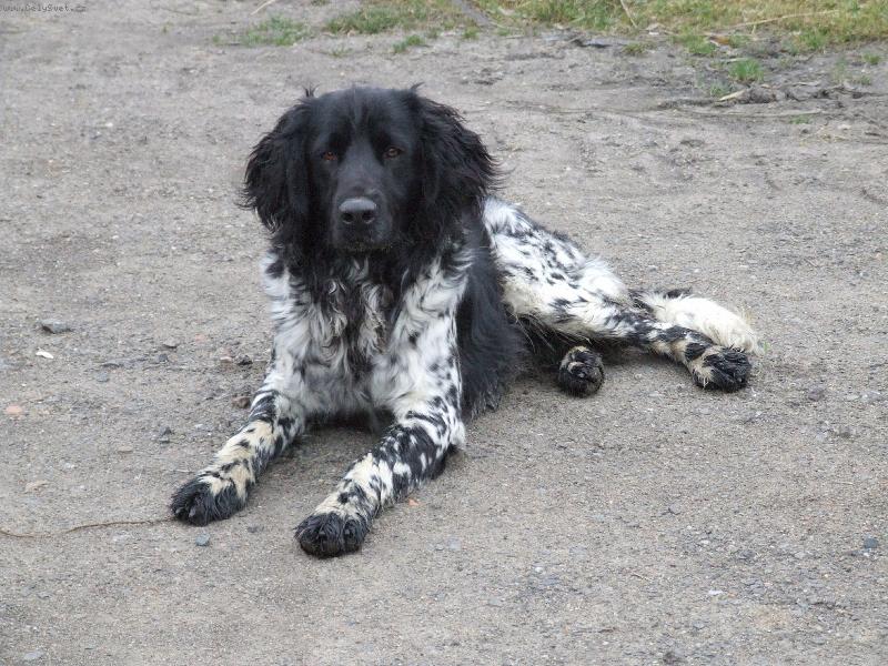 Foto: Kim od Staré vsi