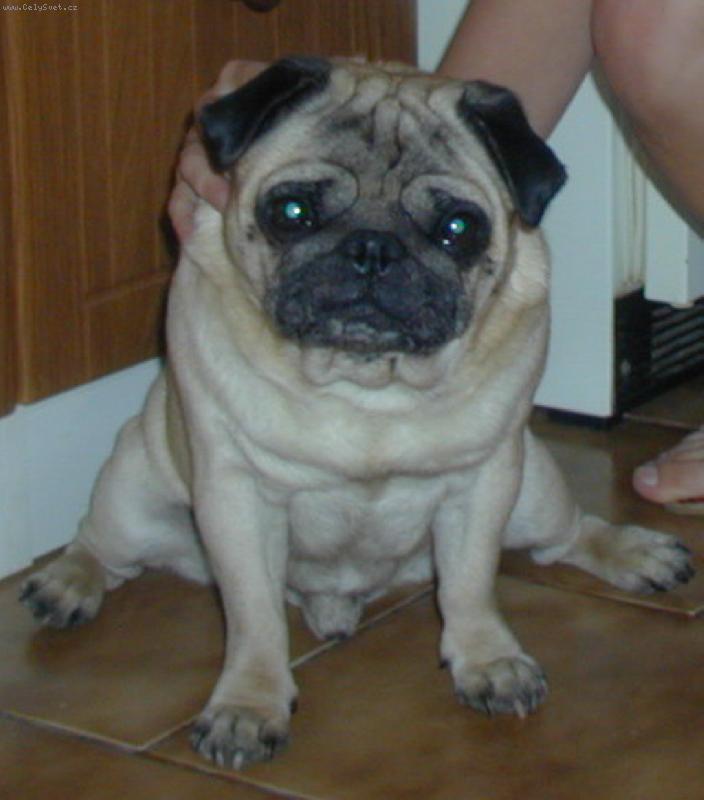 Foto: Bertík Jakapa-Beras