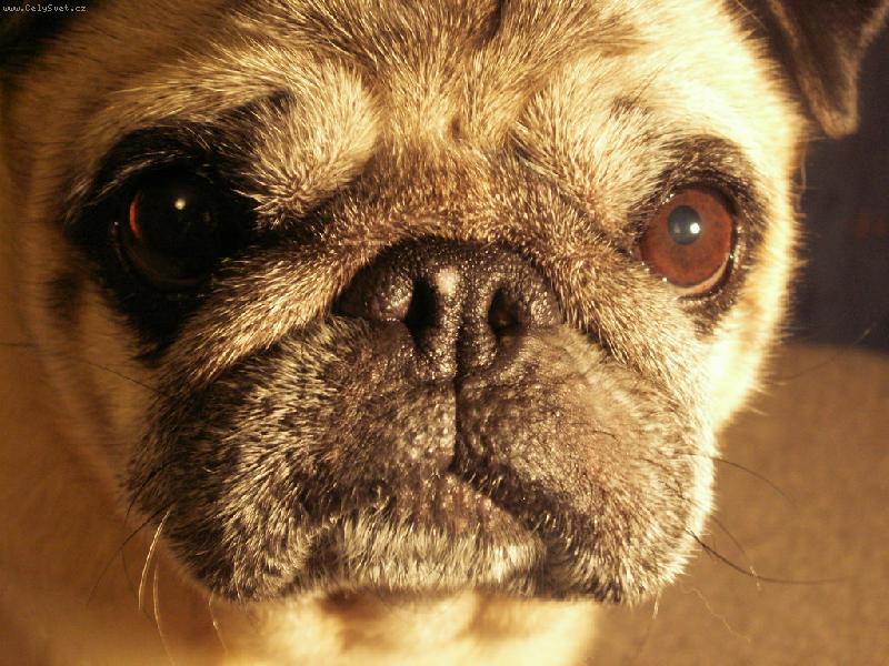 Foto: Kukuč-Bertíček