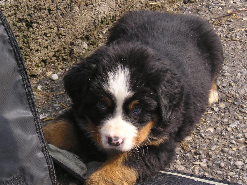 Foto: kasik (kasius)-můj batoh