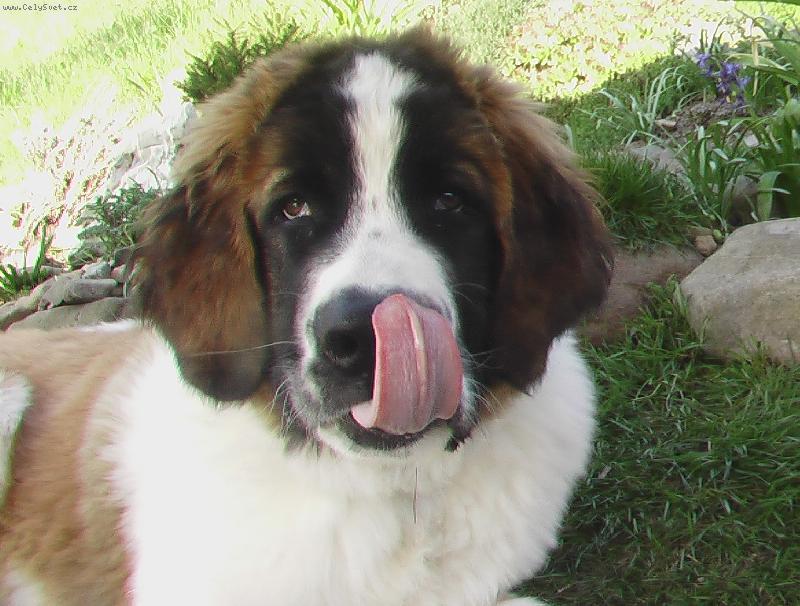 Foto: CADDY-4 měsíce