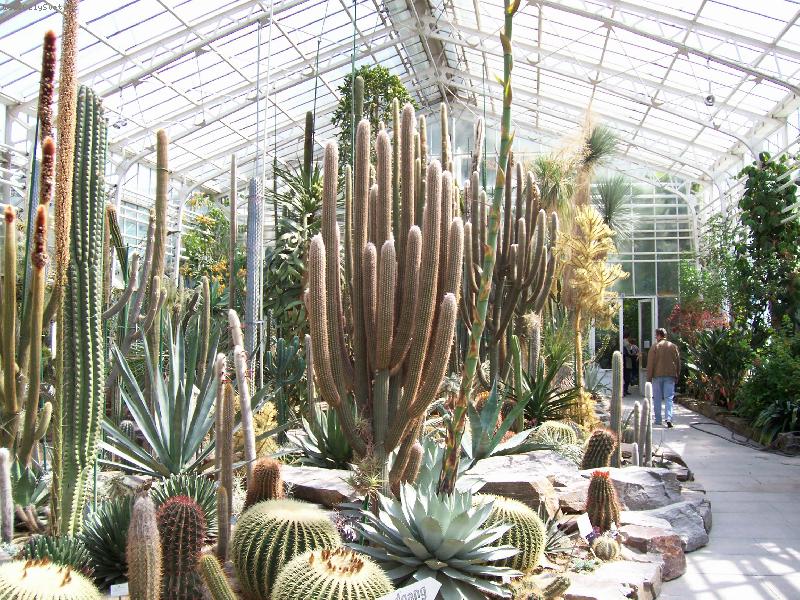 Foto: Mnichov-Botanická zahrada - Nymphenburg