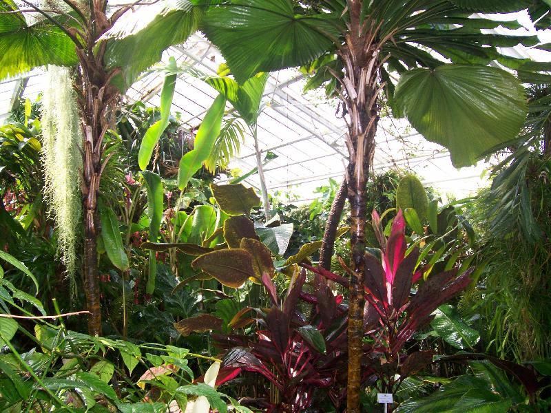 Foto: Mnichov-Botanická zahrada - Nymphenburg