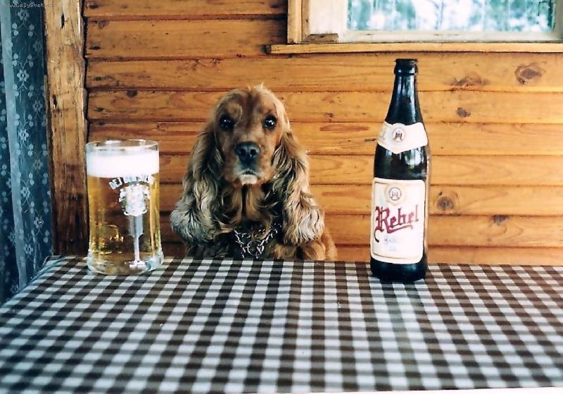 Foto: Cinda-Tak kter� si m�m vybrat?