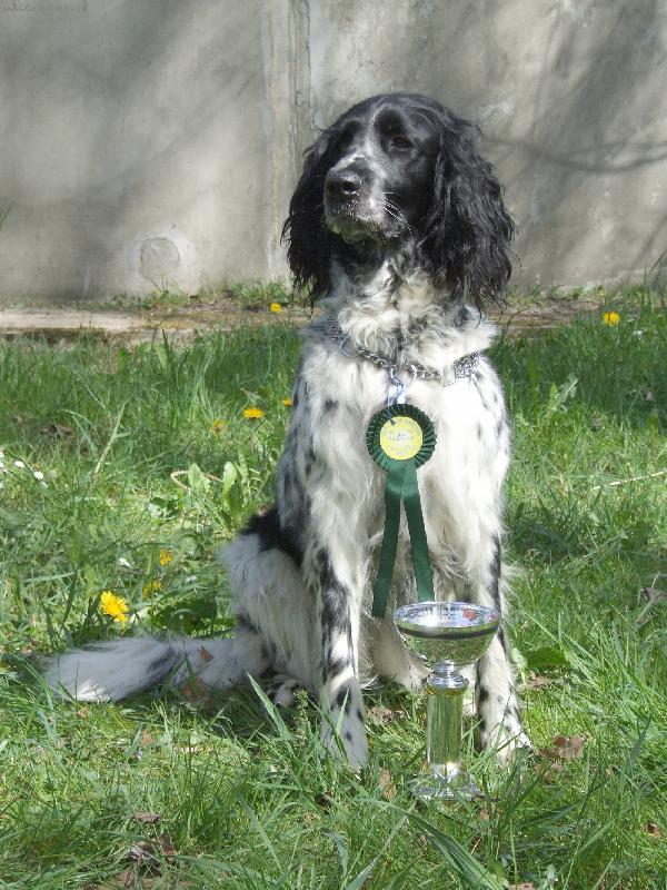 Foto: Hela od Staré vsi