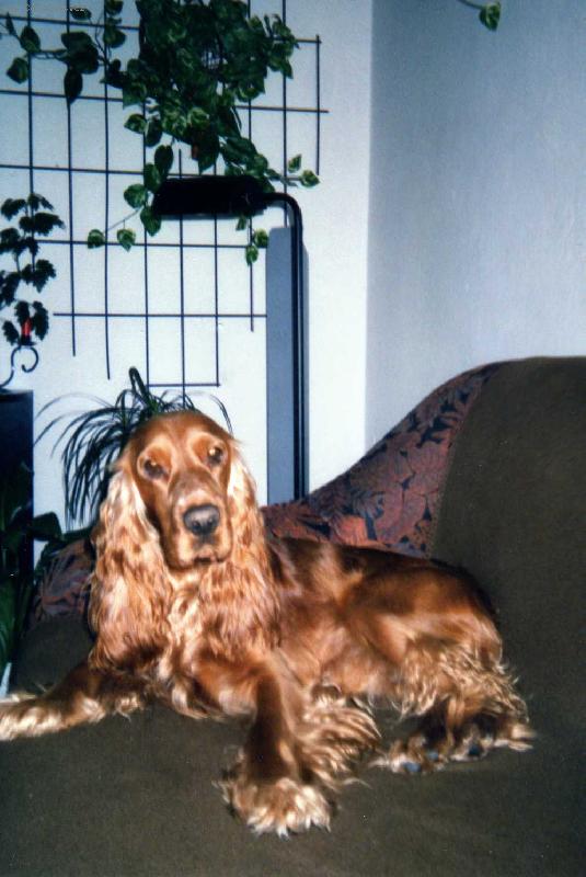 Foto: Náš domácí miláček