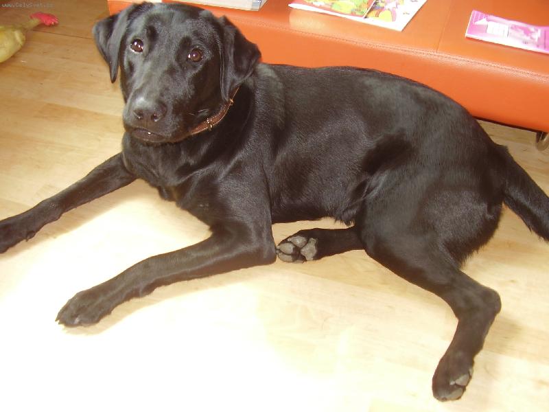 Foto: Jessie-můj miláček