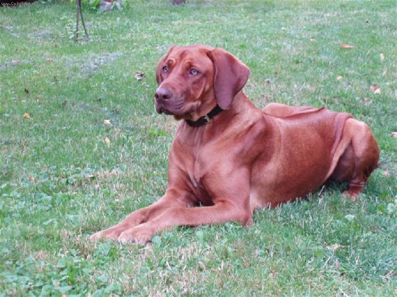 Foto: Nappa Sezimácká-Něco se rýsuje....