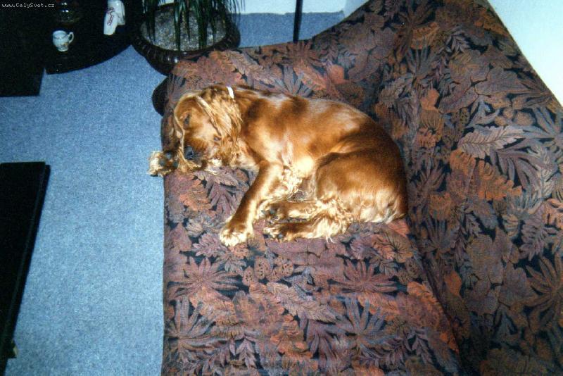 Foto: pěkně odpočívám