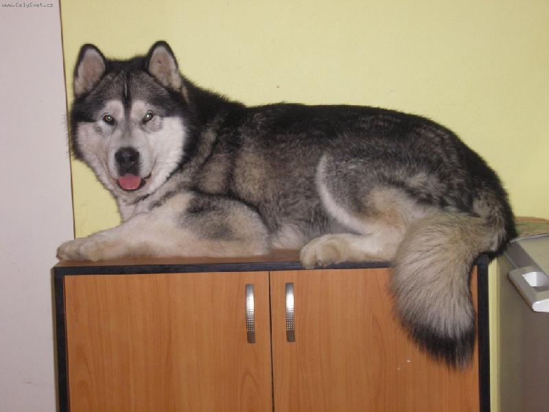 Foto: Tip ťop, ale vejdu se...... :-)