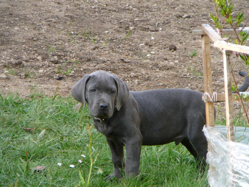 Foto: Neroušek-9 týdnů