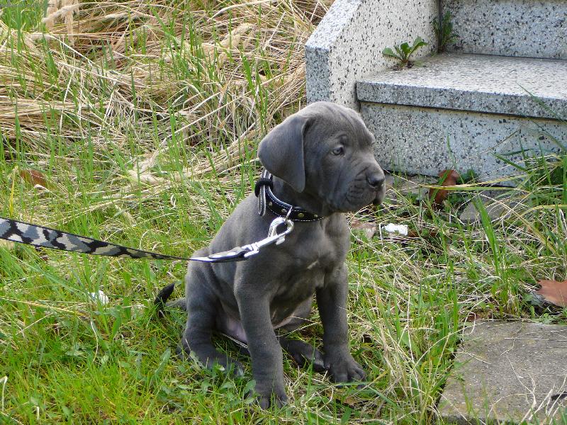 Foto: Neroušek-7 týdnů