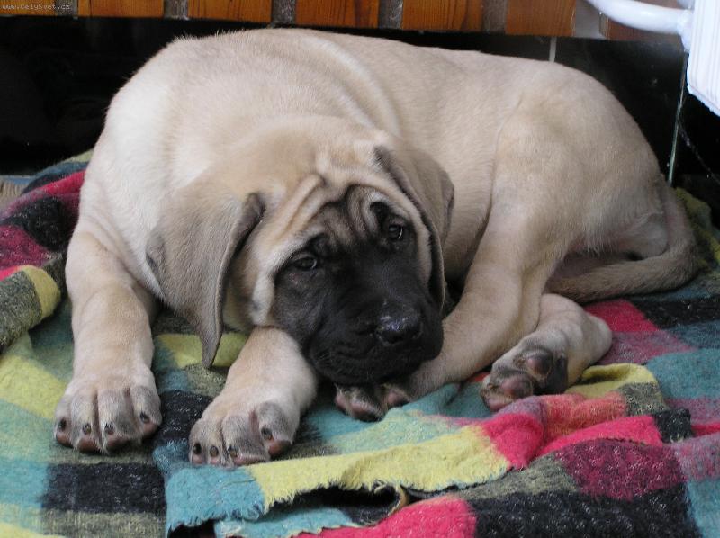 Foto: ... v novém domově...