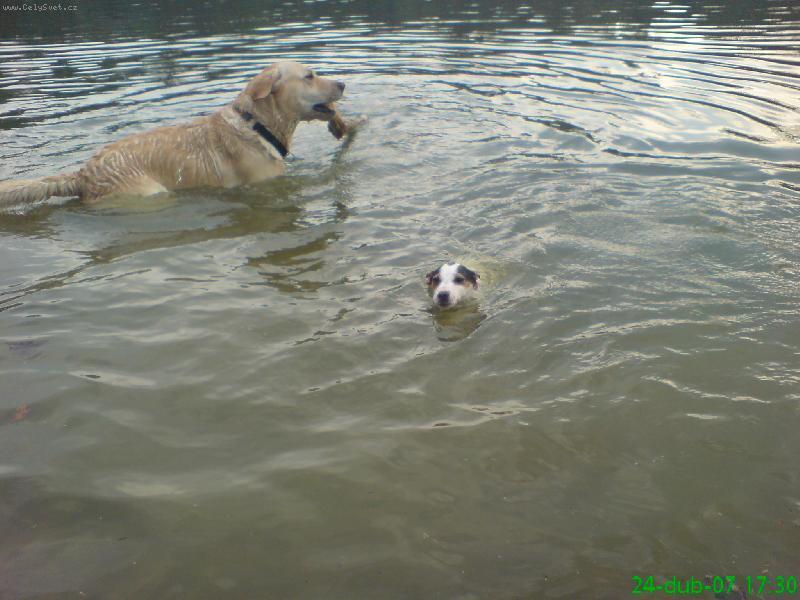 Foto: Agnes plave-Hurá, už to umím, odkoukala jsem to od kámoše Dastyho