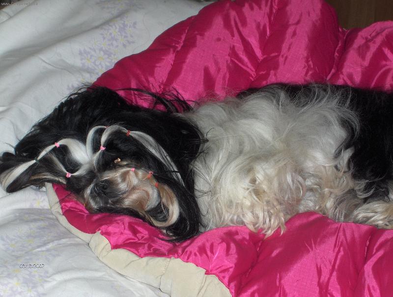 Foto: Nebudit!!-stařenka odpočívá