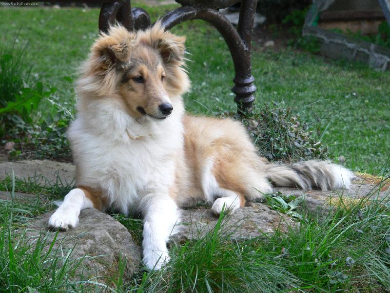 Foto: French ze Skalní vyhlídky