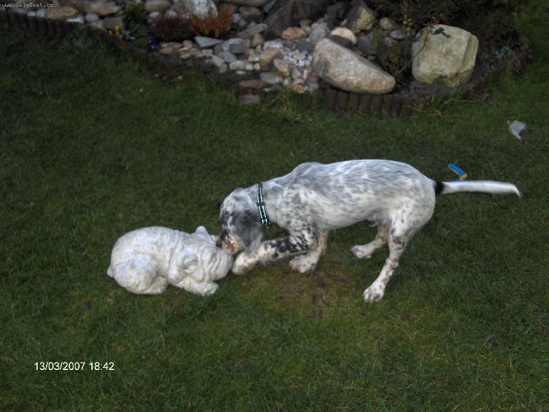 Foto: miláček-to je moje teritorium