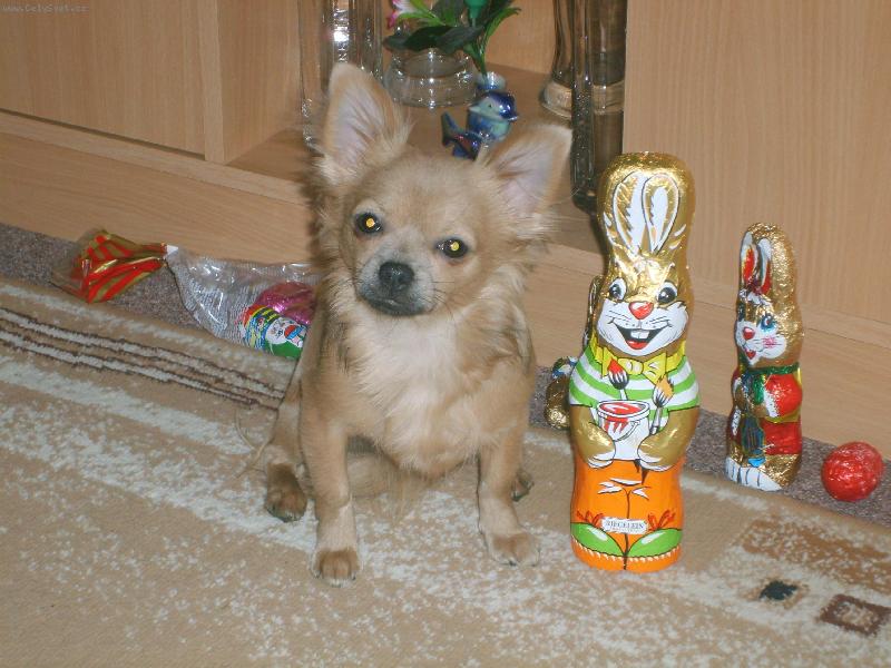 Foto: kdo je větší ja nebo on?