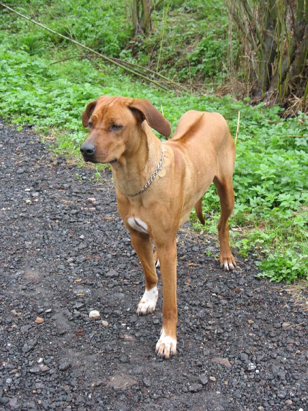 Foto: Jessi po závodech