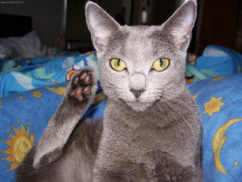 Foto: Čistota půl zdraví!-Filinka :-)))