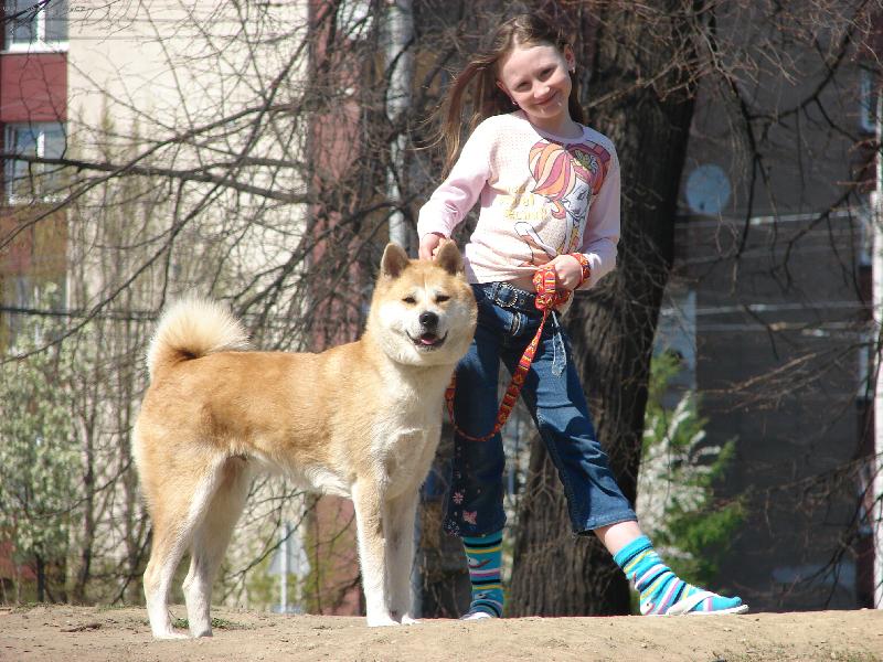 Foto: Aichi Czech Paradise-Aichi na procházce