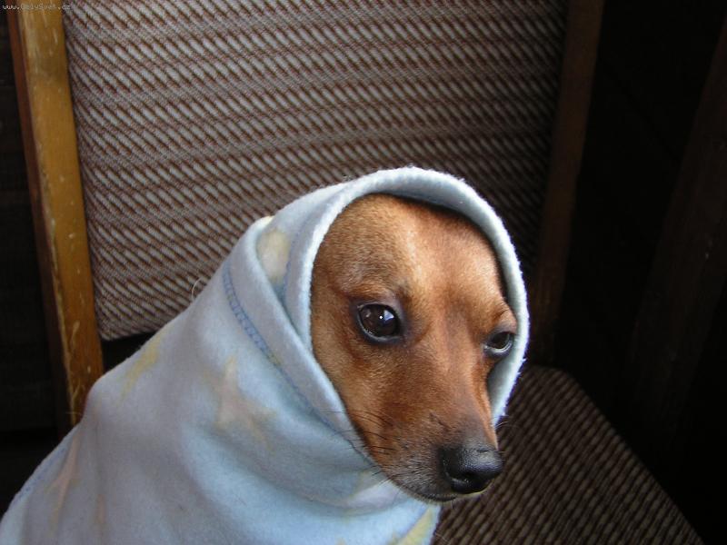 Foto: Je mi veliká zima