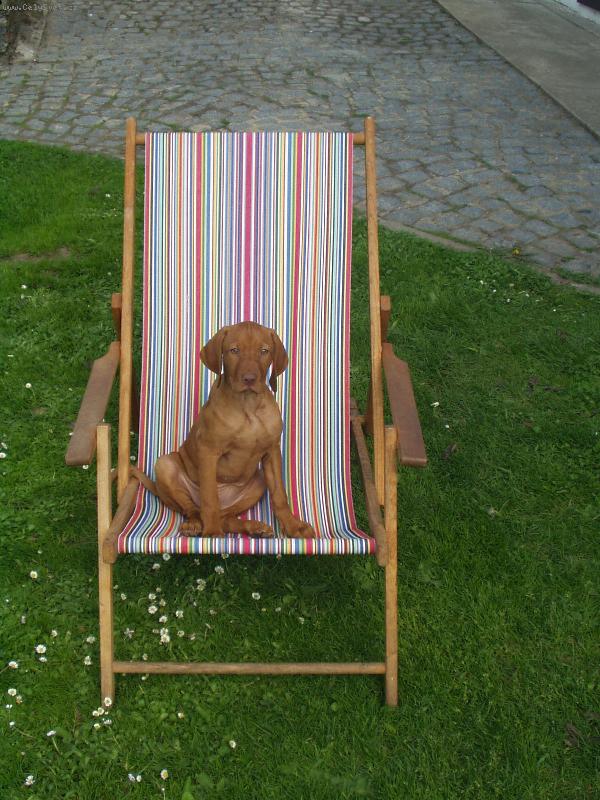 Foto: Pohoda na chatě