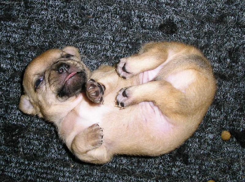 Foto: poleženíčko