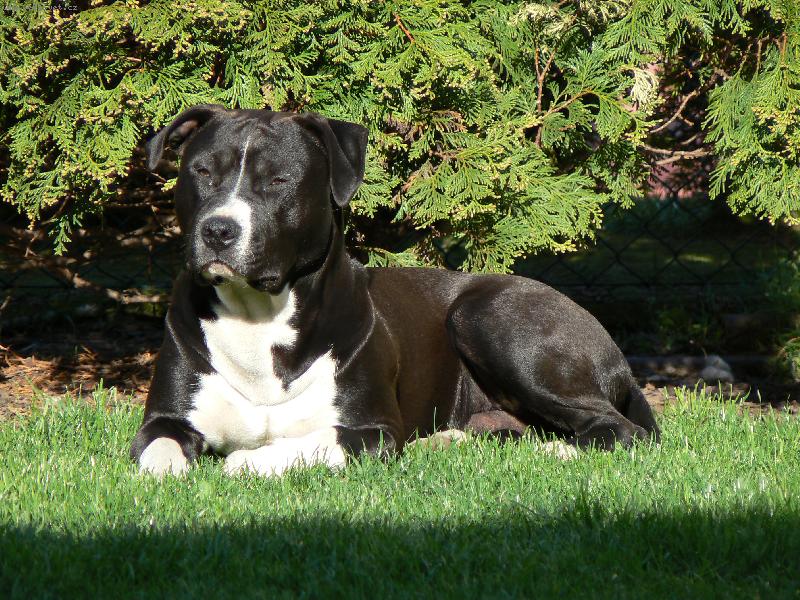 Foto: ARNY 8.MĚSÍCŮ