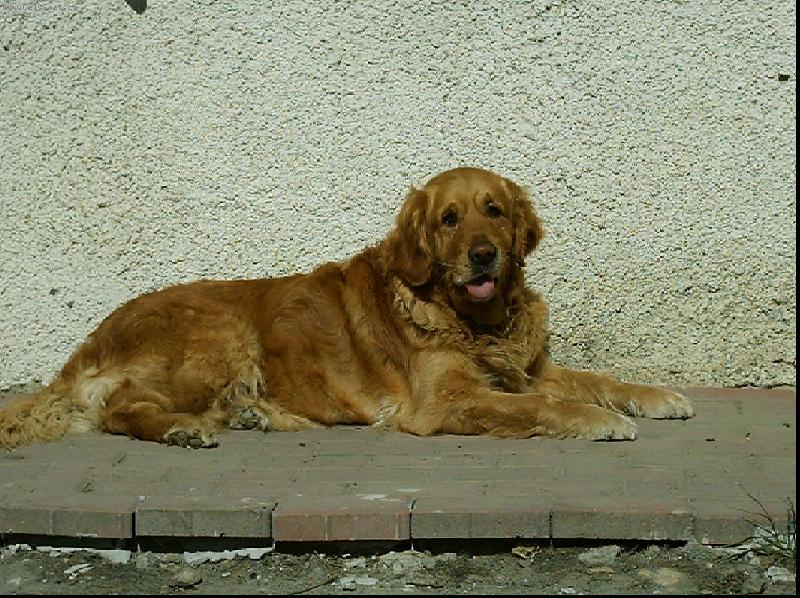 Foto: Jessy-na dubnovém sluníčku