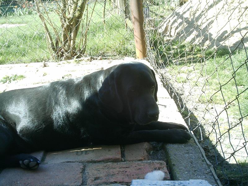 Foto: Sendy-a přeci kousek stínu