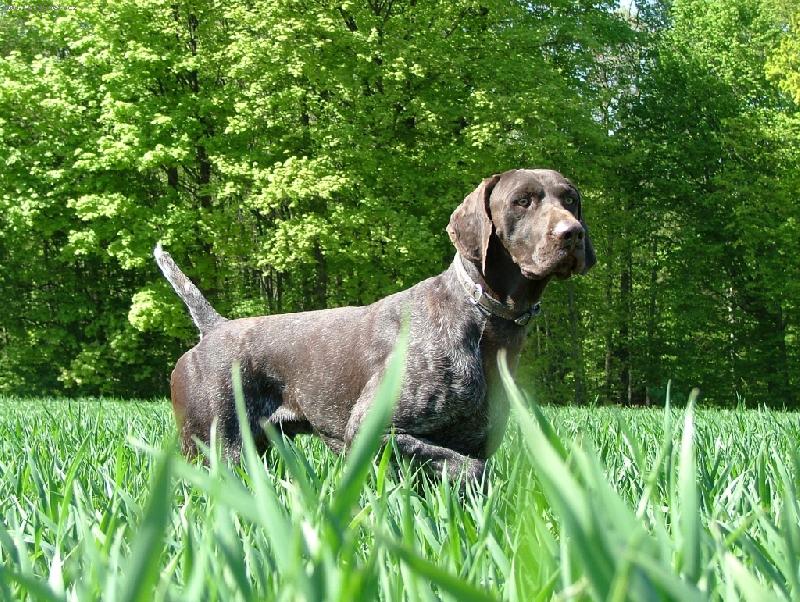 Foto: Bond ze Štípek-vystavování