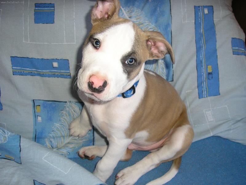 Foto: bruce-tady je nejlíp