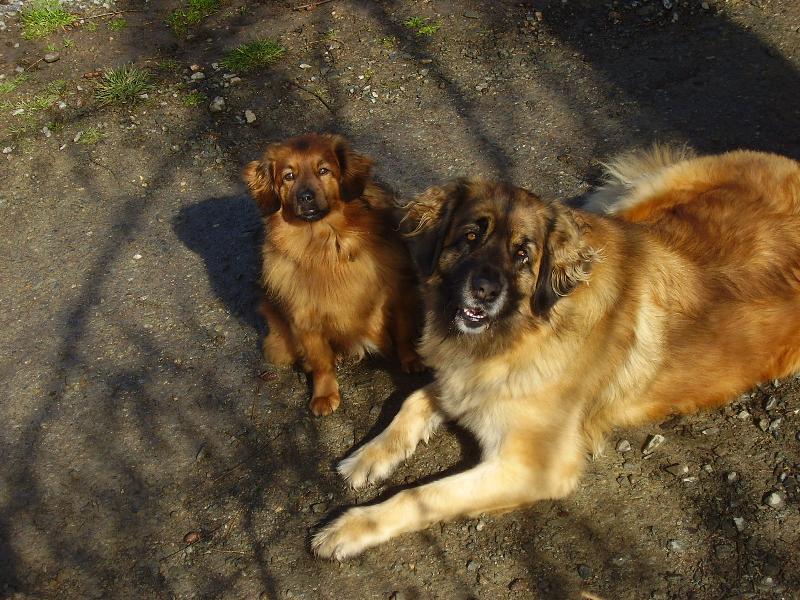 Foto: Ketynka s Bobíčkem