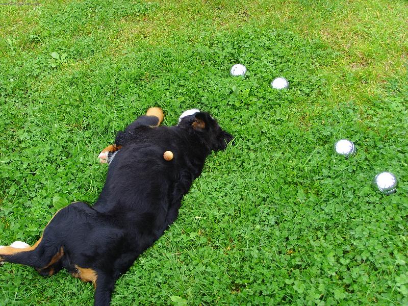 Foto: Kdo si hraje, nezlobí - petanque 1