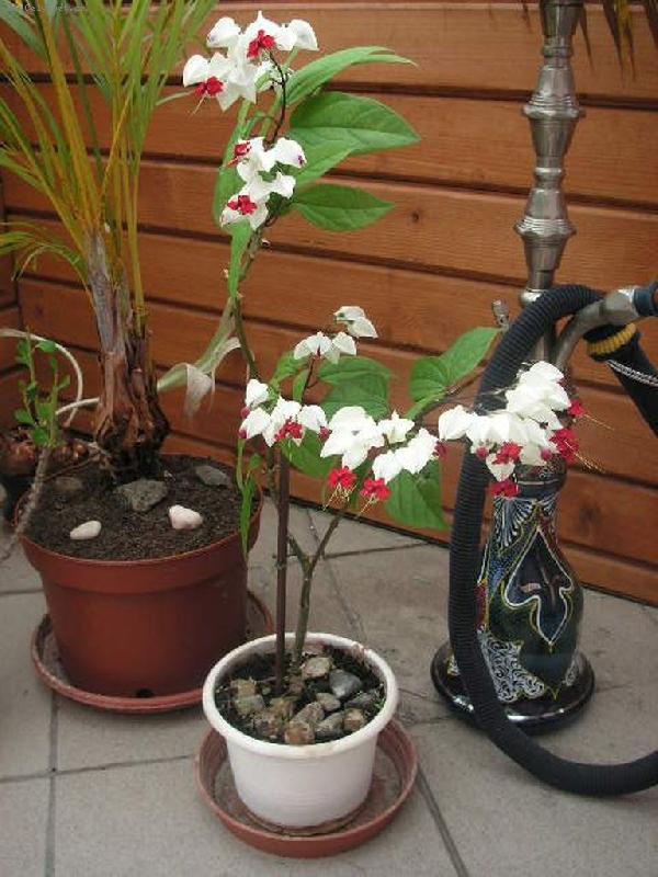 Foto: No není to krása?